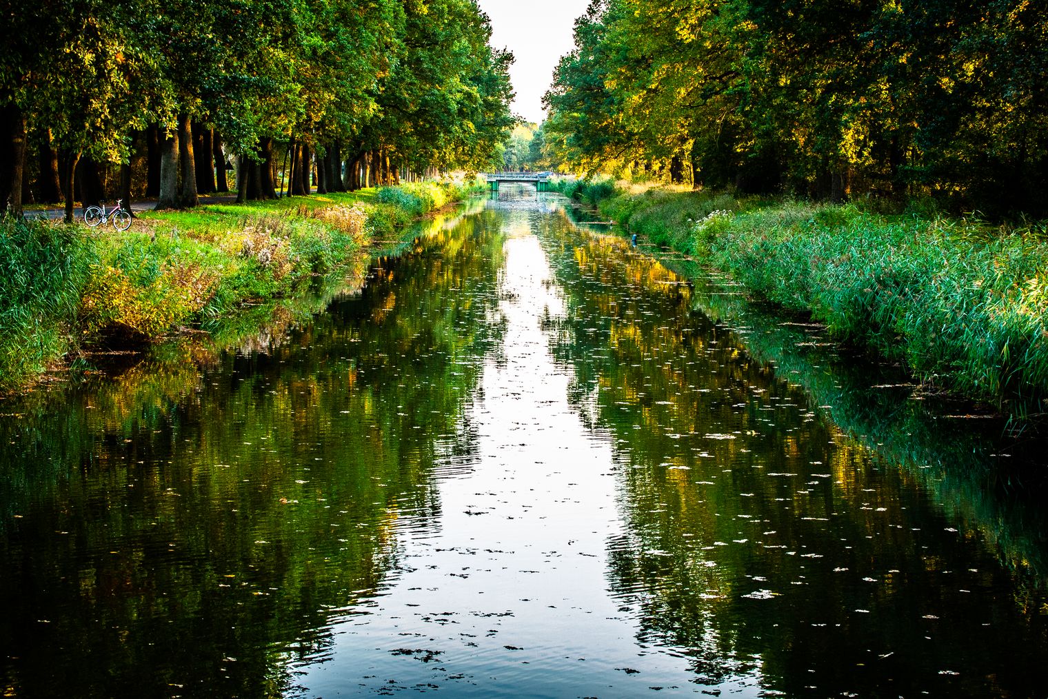 Georgsdorfer Kanal in der Mitte des Bildes. Am Rand des Bildes Natur und Bäume